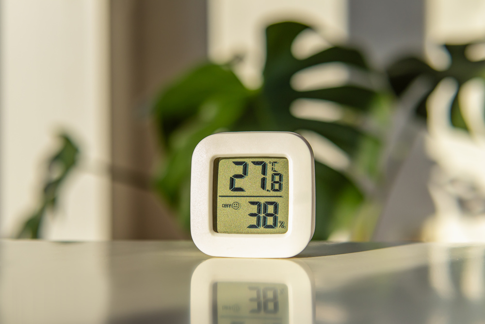 En termometer visar 27,8 grader celsius i förgrunden. Bakgrunden visar en monstera växt. 